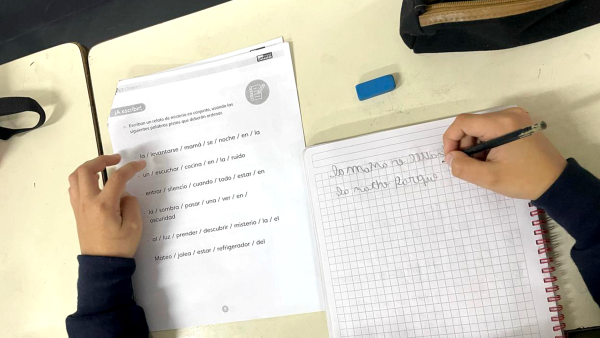 Plan Nacional de Tutorías 2024 zona Austral y zona RM II